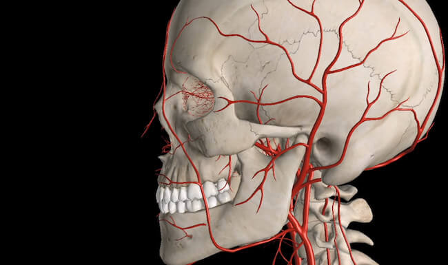 What part of the head is pain triggered by blue light?