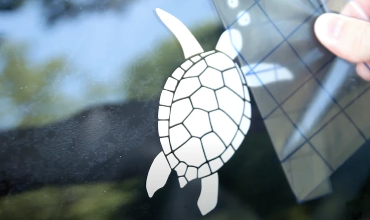 Vinyl illustration of a turtle being applied on a window. 