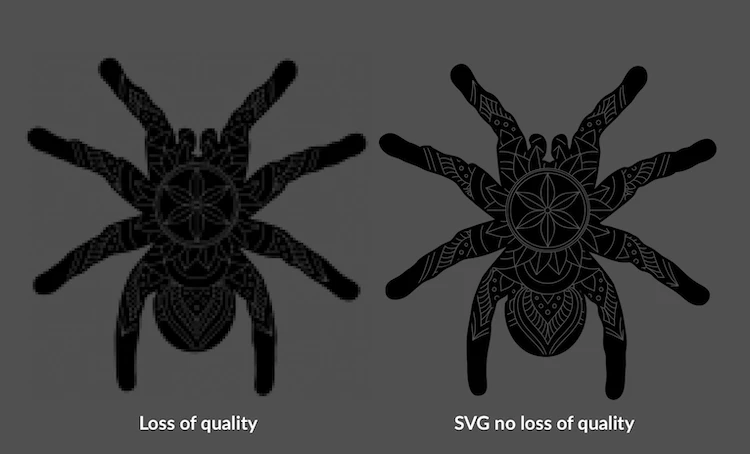The difference in quality between jpg and vector graphics file format.